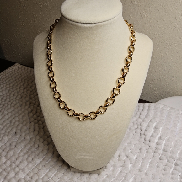 And Now This Extender Chain - Picture 2 of 7